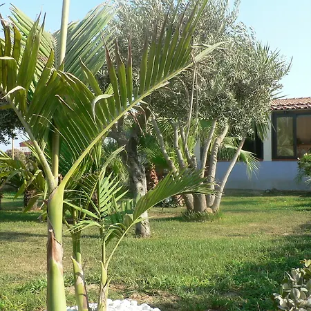 Francesco